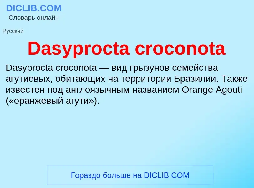 Τι είναι Dasyprocta croconota - ορισμός