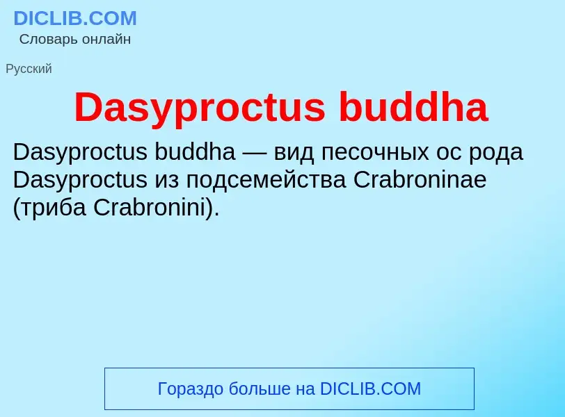 Что такое Dasyproctus buddha - определение