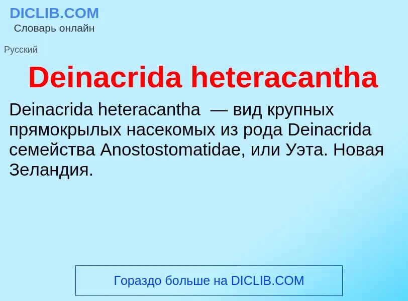 Τι είναι Deinacrida heteracantha - ορισμός