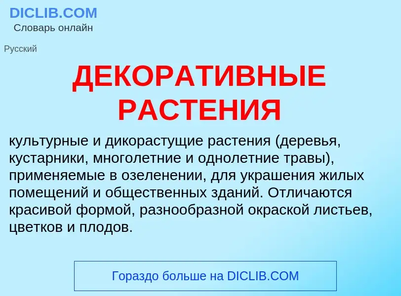 What is ДЕКОРАТИВНЫЕ РАСТЕНИЯ - meaning and definition