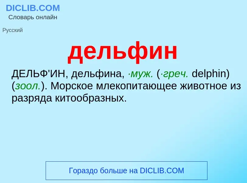 What is дельфин - definition