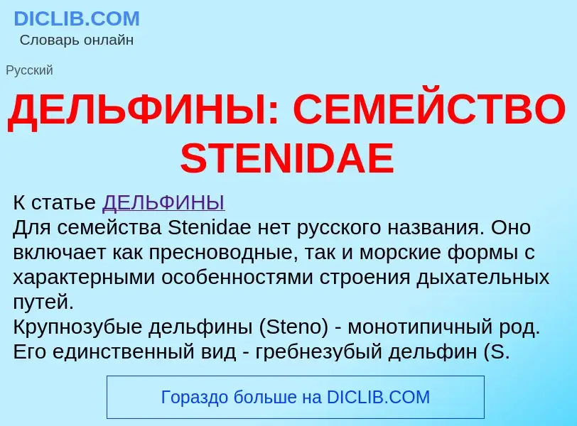 Qu'est-ce que ДЕЛЬФИНЫ: СЕМЕЙСТВО STENIDAE - définition