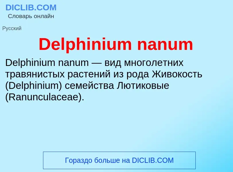 Τι είναι Delphinium nanum - ορισμός