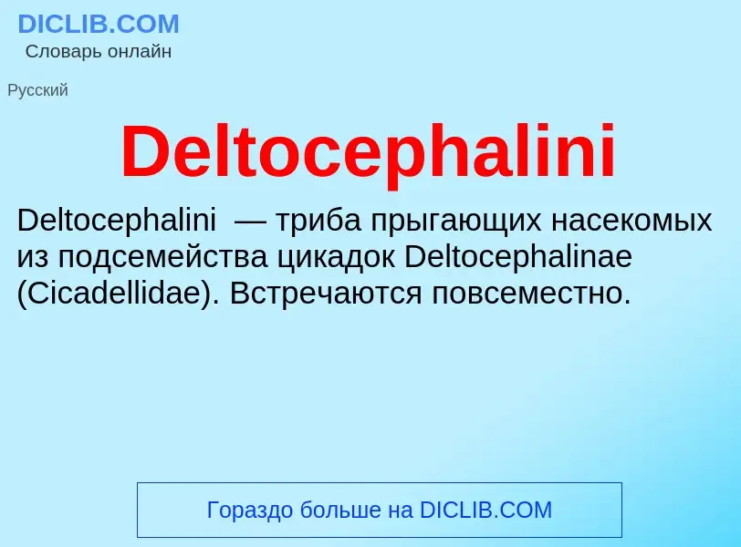 Τι είναι Deltocephalini - ορισμός