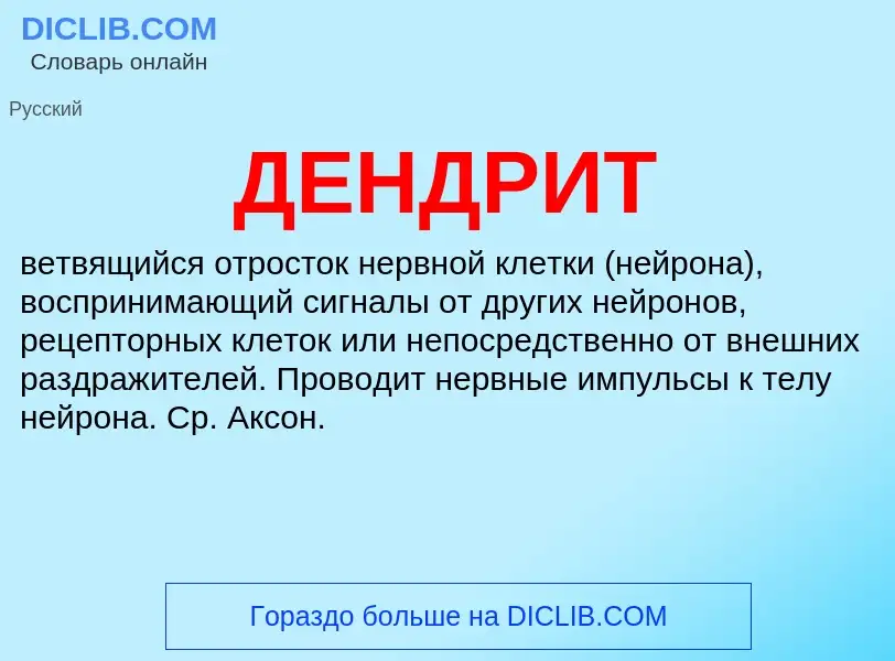 What is ДЕНДРИТ - meaning and definition