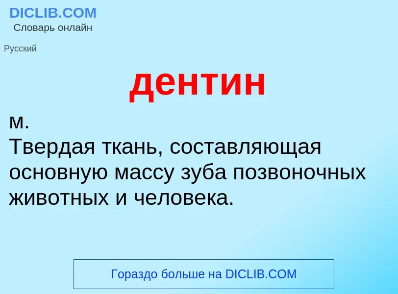 ¿Qué es дентин? - significado y definición