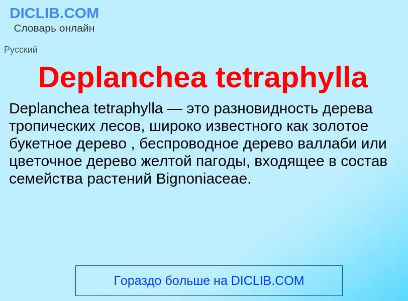 Τι είναι Deplanchea tetraphylla - ορισμός