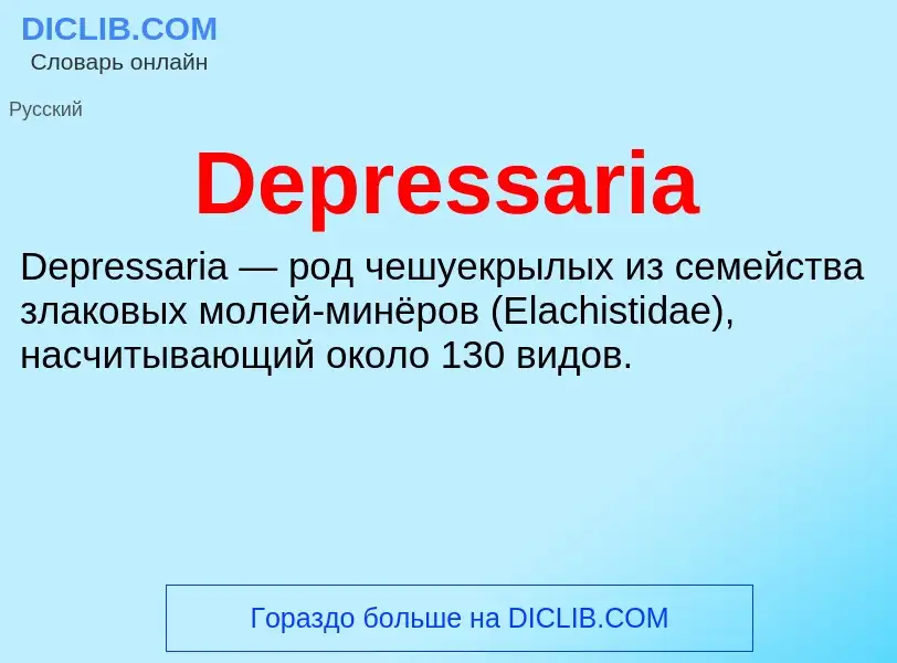 Τι είναι Depressaria - ορισμός