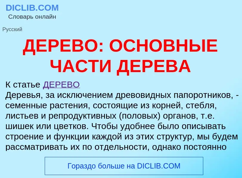 O que é ДЕРЕВО: ОСНОВНЫЕ ЧАСТИ ДЕРЕВА - definição, significado, conceito