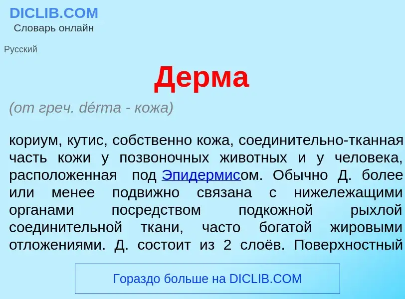 Che cos'è Д<font color="red">е</font>рма - definizione