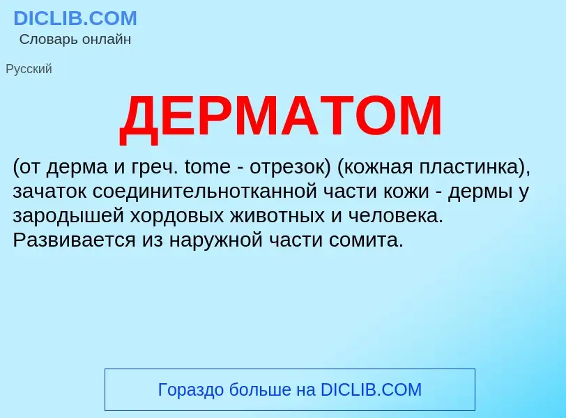 Wat is ДЕРМАТОМ - definition