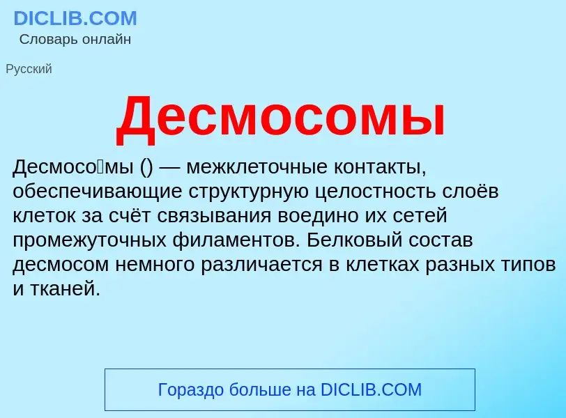 O que é Десмосомы - definição, significado, conceito