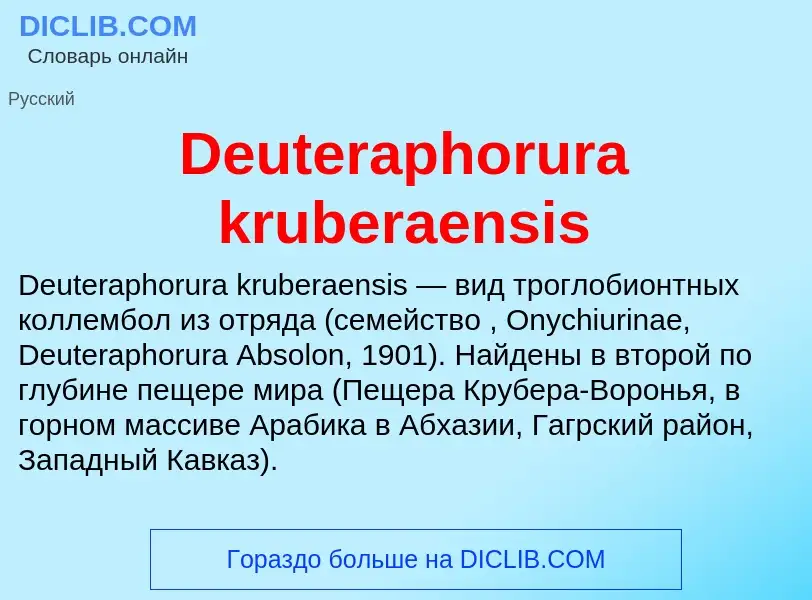 Τι είναι Deuteraphorura kruberaensis - ορισμός