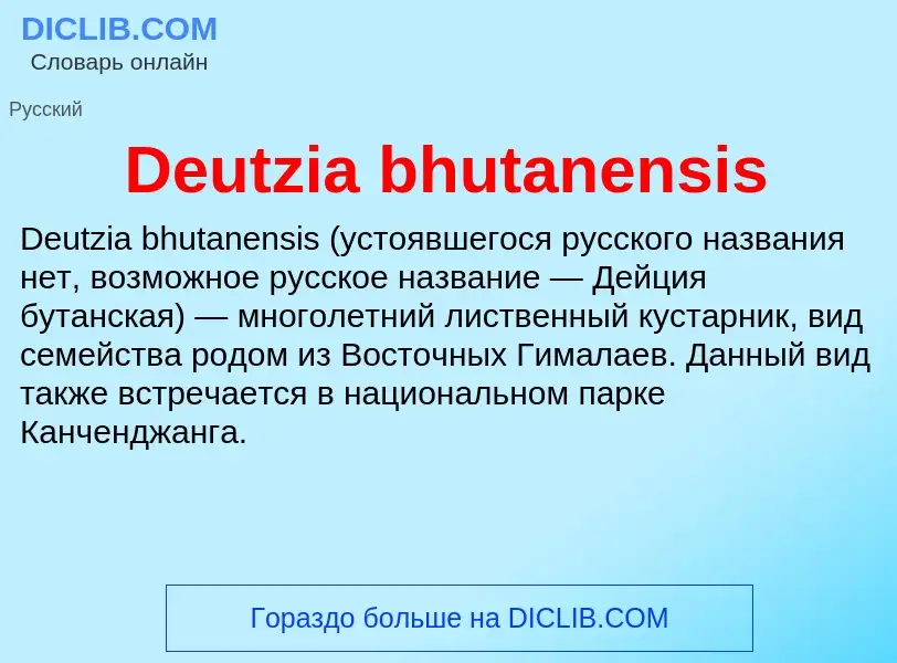 Что такое Deutzia bhutanensis - определение