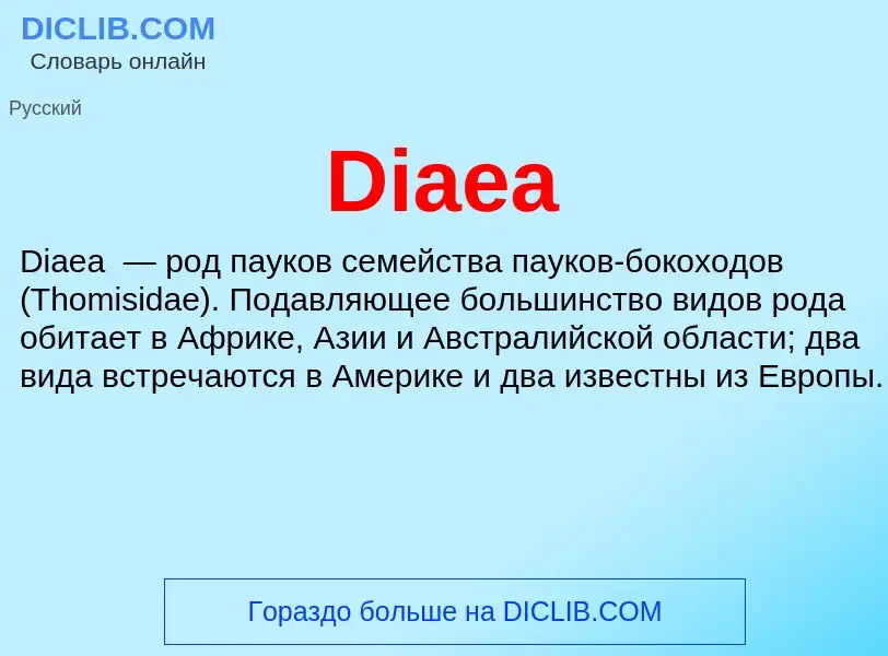 Что такое Diaea - определение