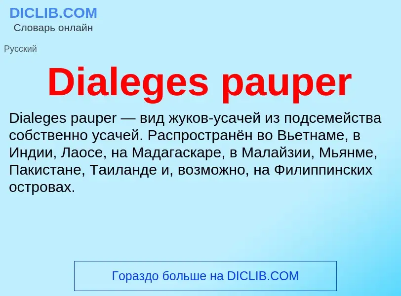 Что такое Dialeges pauper - определение