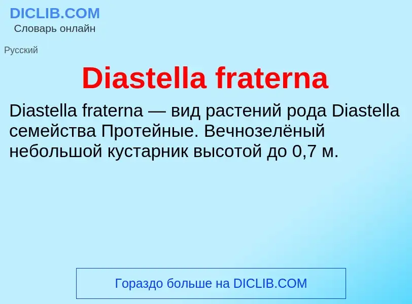 Τι είναι Diastella fraterna - ορισμός