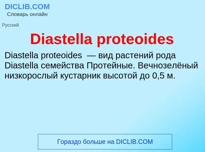 Τι είναι Diastella proteoides - ορισμός