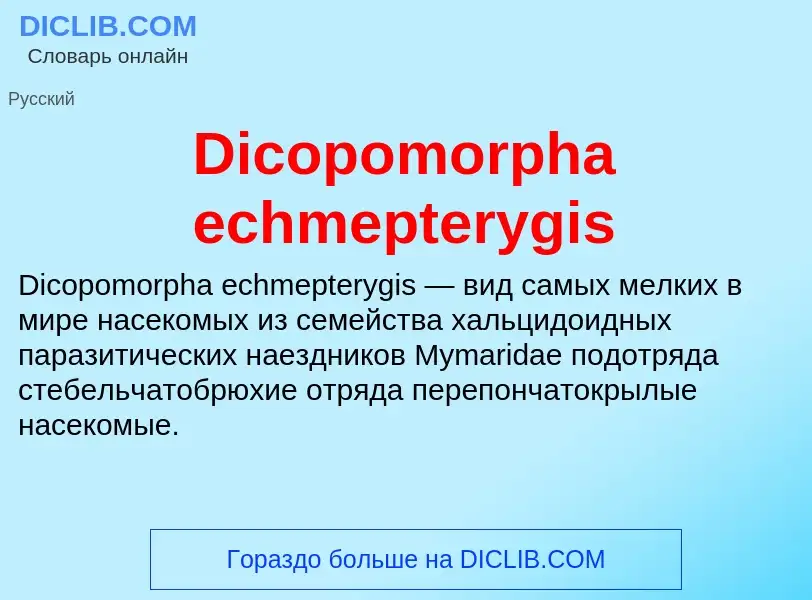 Τι είναι Dicopomorpha echmepterygis - ορισμός