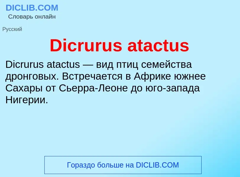 Τι είναι Dicrurus atactus - ορισμός