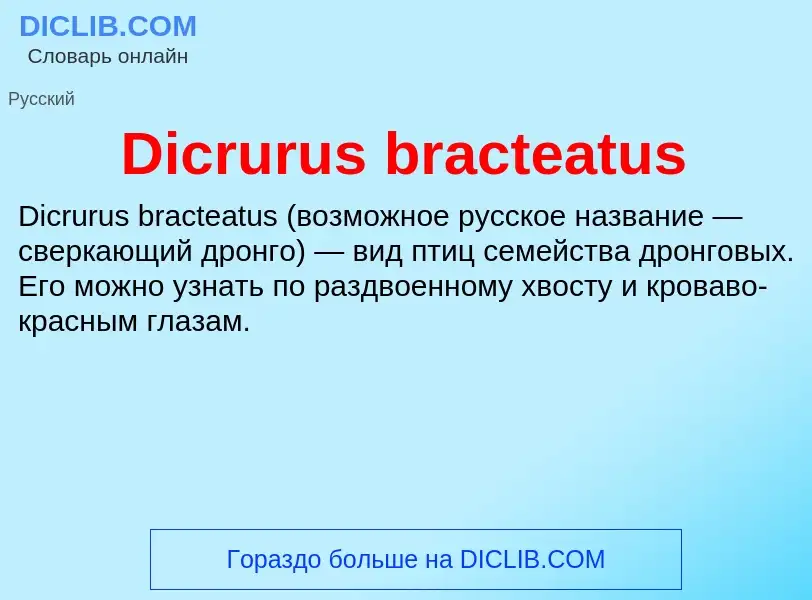 Τι είναι Dicrurus bracteatus - ορισμός