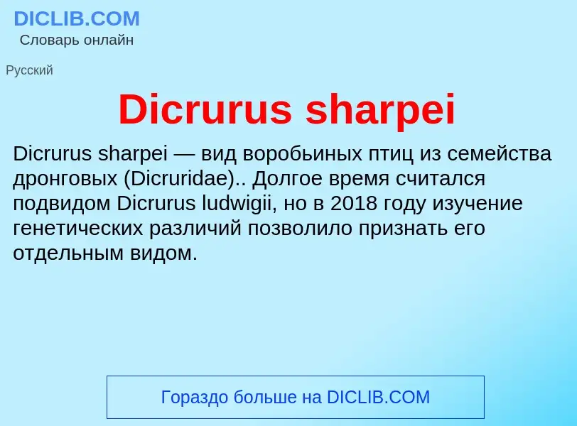 Τι είναι Dicrurus sharpei - ορισμός