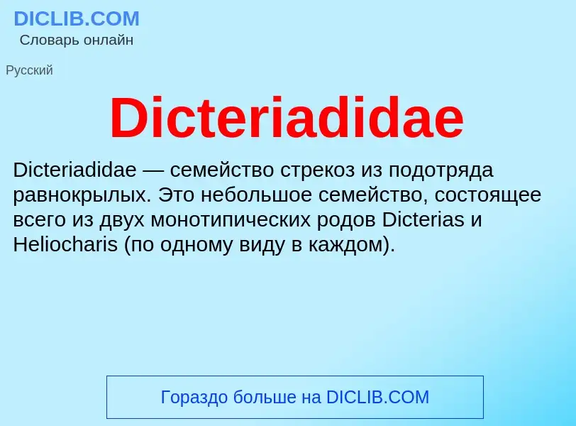 Τι είναι Dicteriadidae - ορισμός