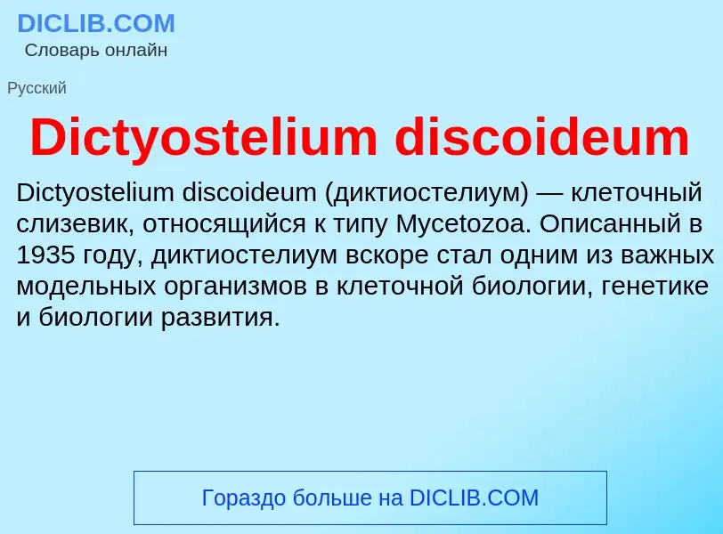 Τι είναι Dictyostelium discoideum - ορισμός