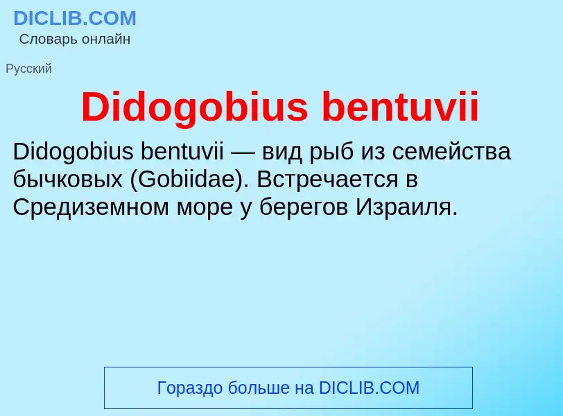 Τι είναι Didogobius bentuvii - ορισμός