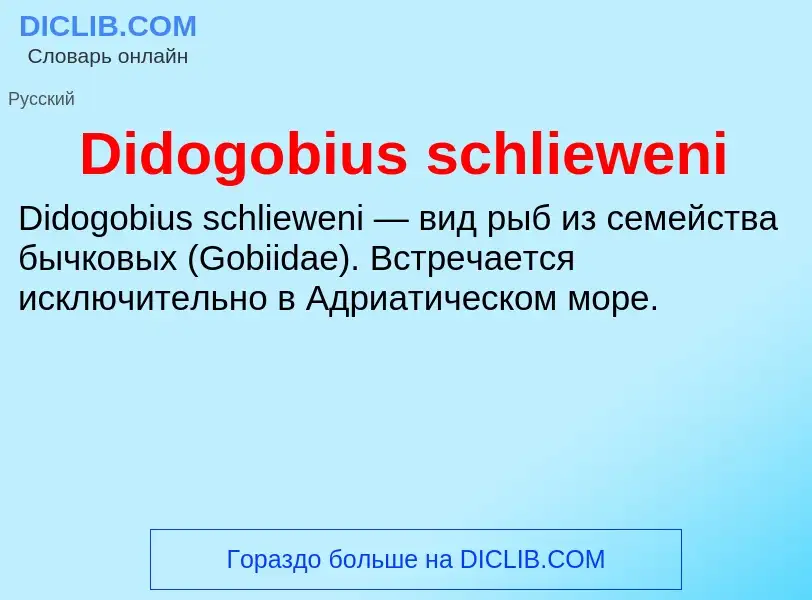 Τι είναι Didogobius schlieweni - ορισμός