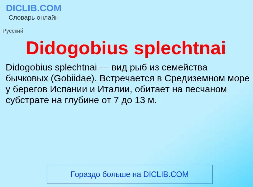 Τι είναι Didogobius splechtnai - ορισμός