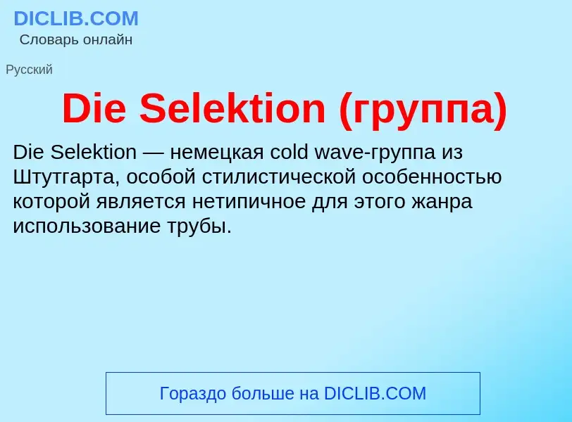 Что такое Die Selektion (группа) - определение