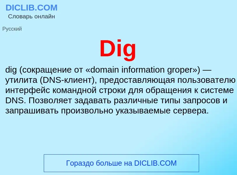 ¿Qué es Dig? - significado y definición