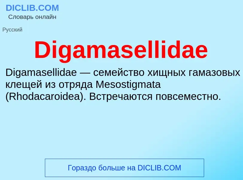 Что такое Digamasellidae - определение