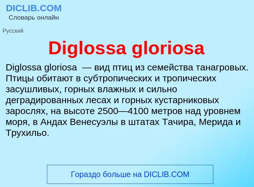 Что такое Diglossa gloriosa - определение