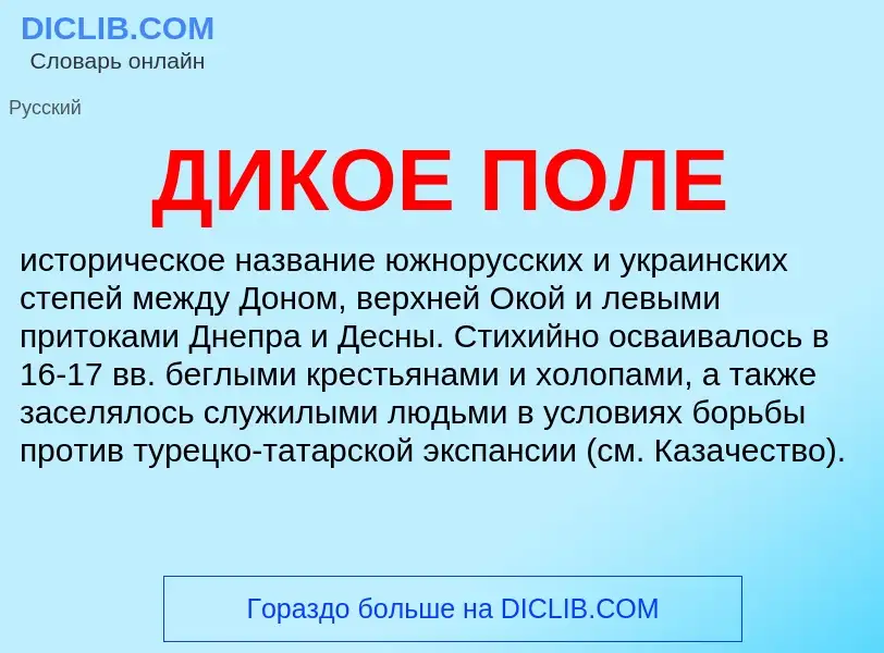 O que é ДИКОЕ ПОЛЕ - definição, significado, conceito
