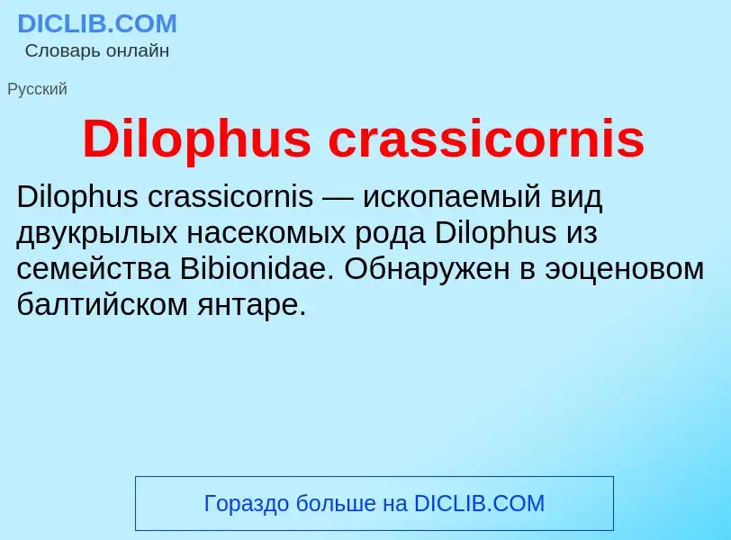 Что такое Dilophus crassicornis - определение