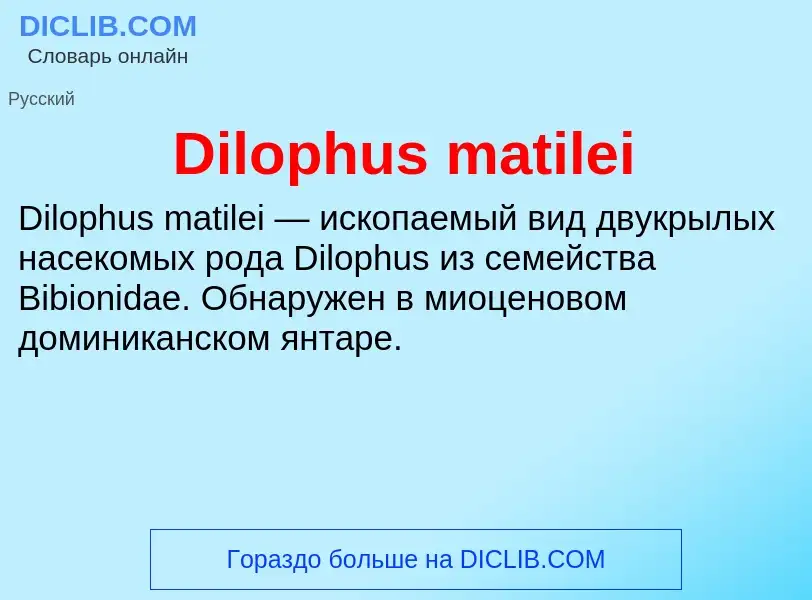 Что такое Dilophus matilei - определение