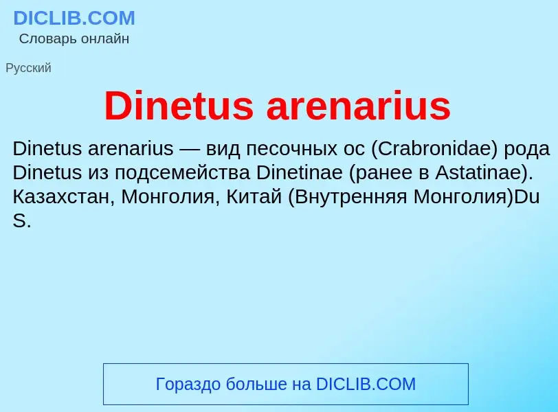 Что такое Dinetus arenarius - определение