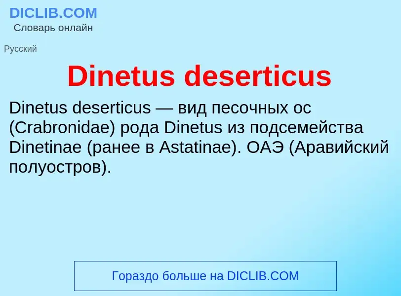 Что такое Dinetus deserticus - определение