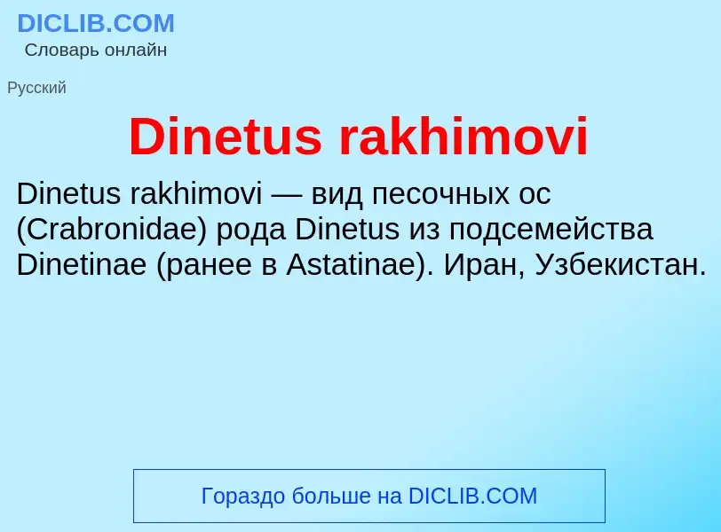 Что такое Dinetus rakhimovi - определение