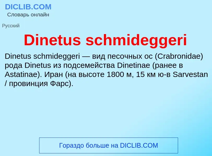 Что такое Dinetus schmideggeri - определение