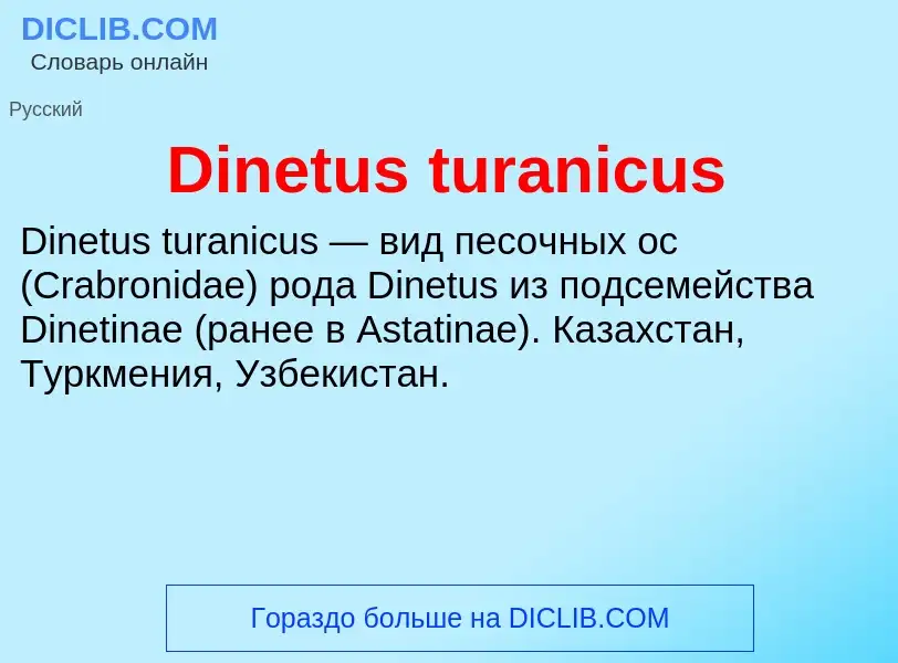 Что такое Dinetus turanicus - определение