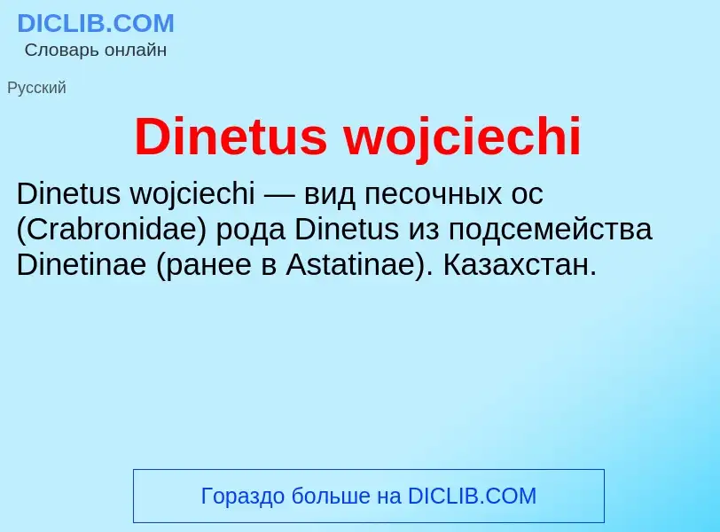 Что такое Dinetus wojciechi - определение