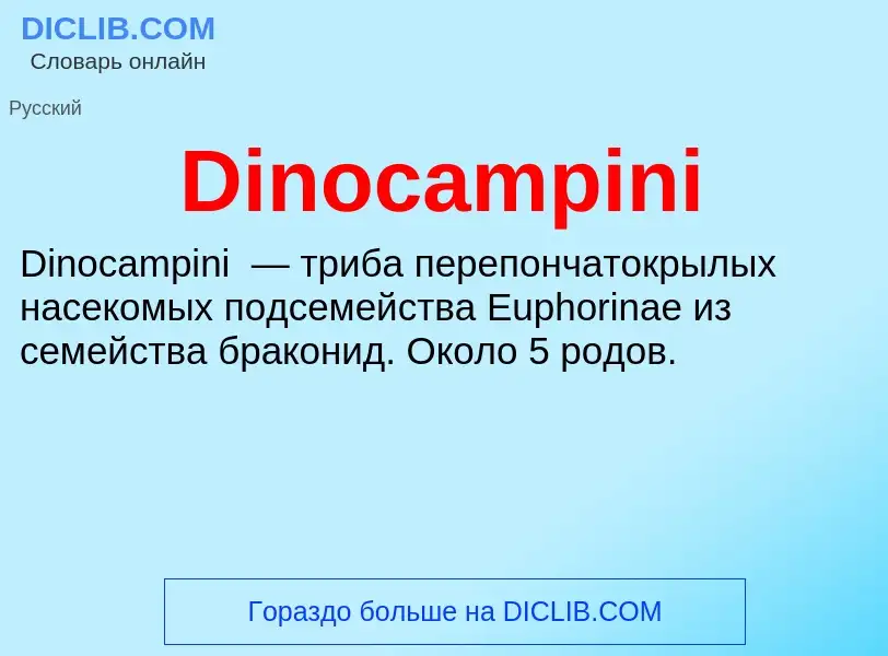 Что такое Dinocampini - определение