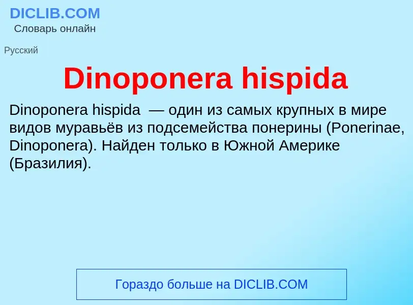 Что такое Dinoponera hispida - определение