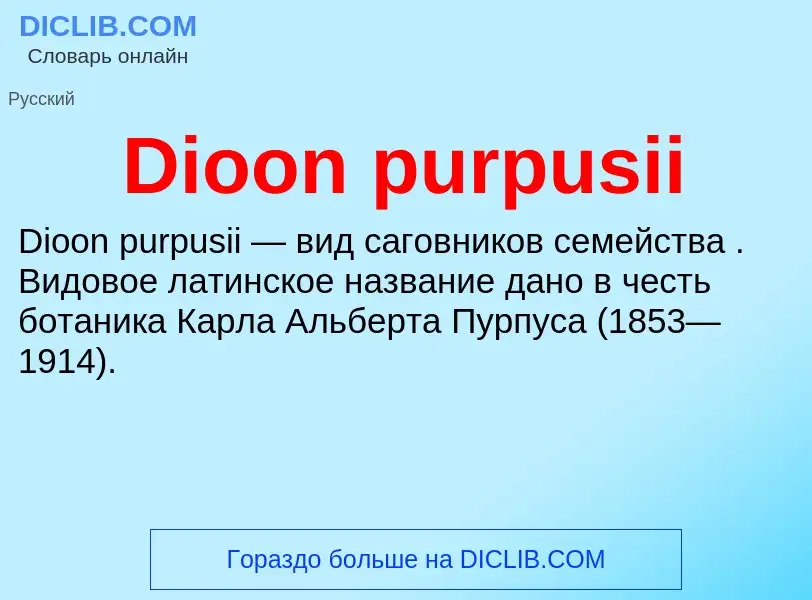 Что такое Dioon purpusii - определение