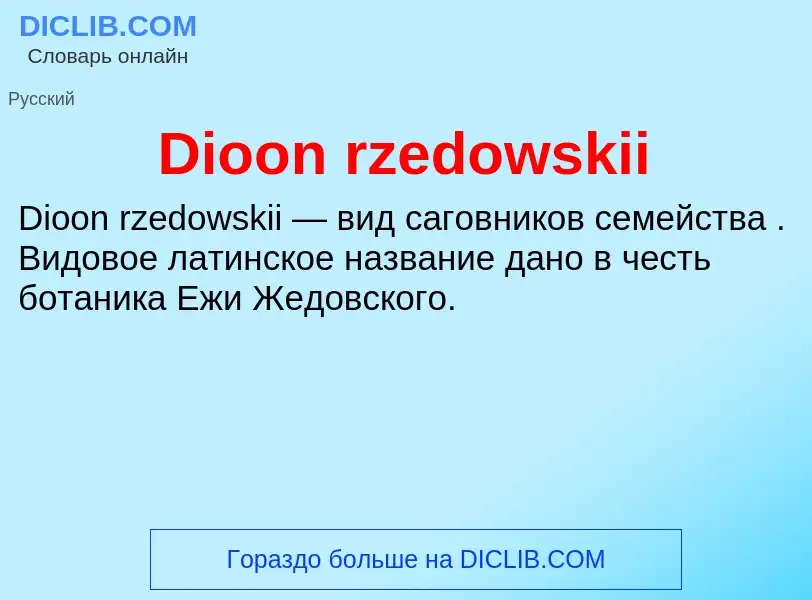 Что такое Dioon rzedowskii - определение