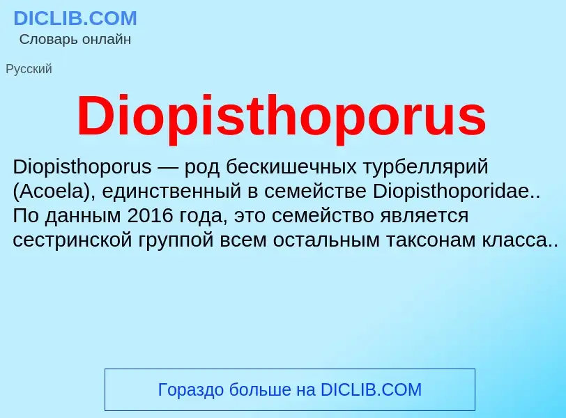 Что такое Diopisthoporus - определение