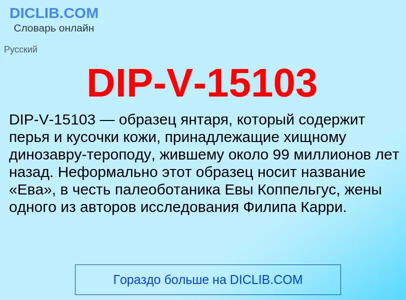 Wat is DIP-V-15103 - definition